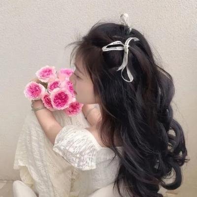 亚当变奏曲
