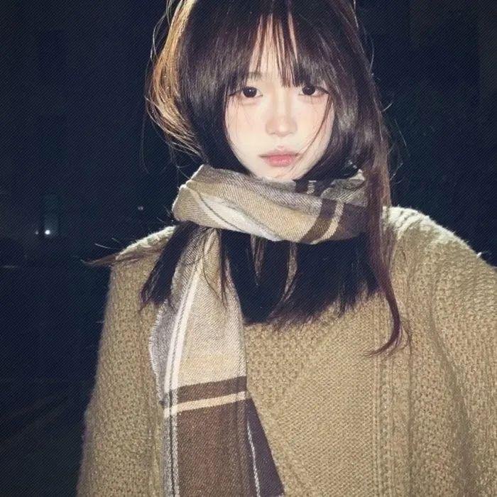 消失的大象
